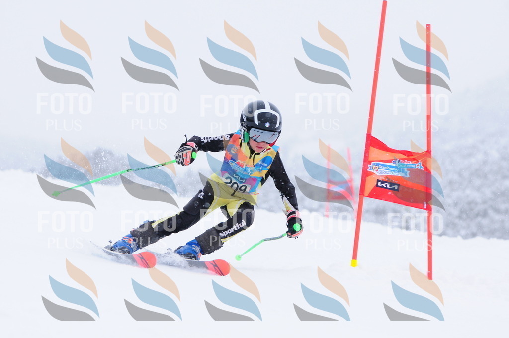 C2255 | holidayphoto