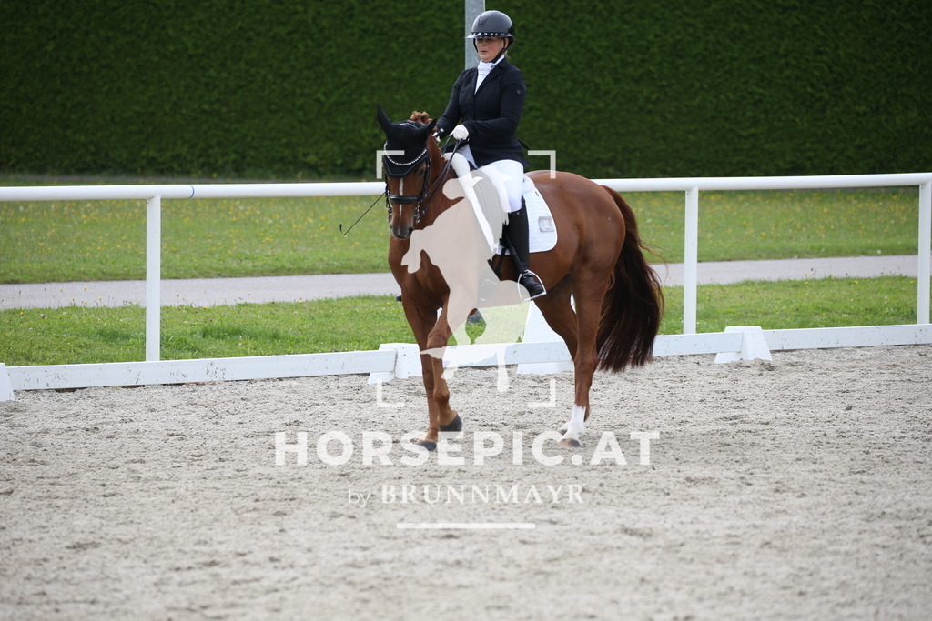 DL2Q4020 | Willkommen bei Brunnmayr - Design & Fotografie – Ihrem Spezialisten für Reitturniere und Pferdeveranstaltungen in Oberösterreich, Salzburg und Bayern! Seit über 17 Jahren sind wir leidenschaftlich dabei.