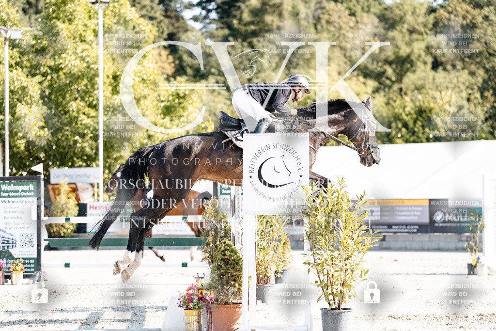 CK901905 | Turnierfotografie Pferdefotografie Trier Rheinland-Pfalz Pferdesport Reitsport Tierfotografie Sportfotografie Pferdevideo Pferdevideografie Equestrianvideography equestrianphotography  - Realisiert mit Pictrs.com