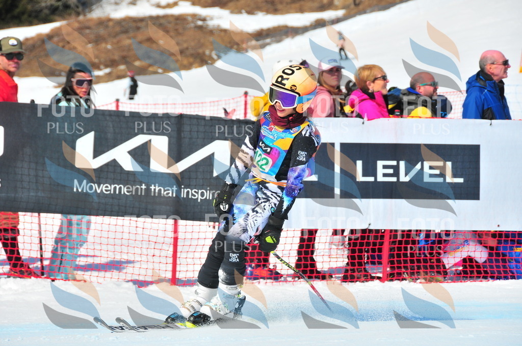 DSC_0974 | holidayphoto