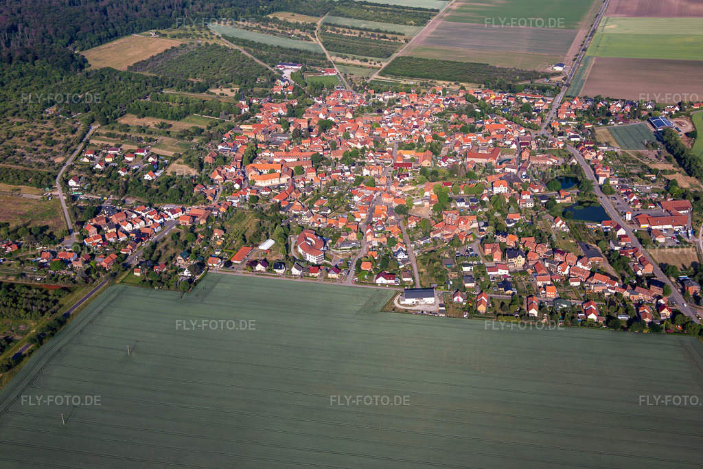 Luftbild: Ortsansicht von Osten im Ortsteil Dingelstedt am Huy in Huy im Bundesland Sachsen-Anhalt in Deutschland. Foto: IMG_136351.jpg vom 15.06.2023 durch Werner Riehm/FLY-FOTO.de