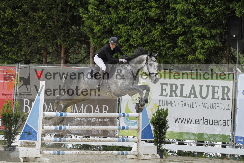 _MG_1214 | equestrian-live-com