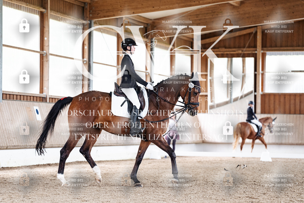 CK900748 | Turnierfotografie Pferdefotografie Trier Rheinland-Pfalz Pferdesport Reitsport Tierfotografie Sportfotografie Pferdevideo Pferdevideografie Equestrianvideography equestrianphotography  - Realisiert mit Pictrs.com