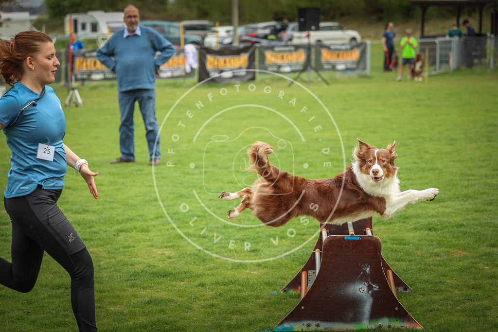 Pfotenfotografie_0L8A9441 | Hundefotografie, Tierfotograf, Pfotenfotografie, Fotoshooting Hund, Hunde Portrait, Hundesport, Hundeportraits, Heideshooting, Hunde, Sportfotograf, Hundefotograf, Turnierhundsport, THS,  - Realisiert mit Pictrs.com