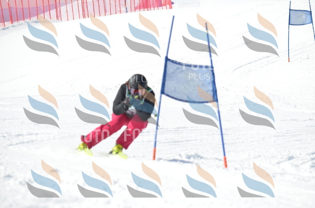 D9196 | holidayphoto