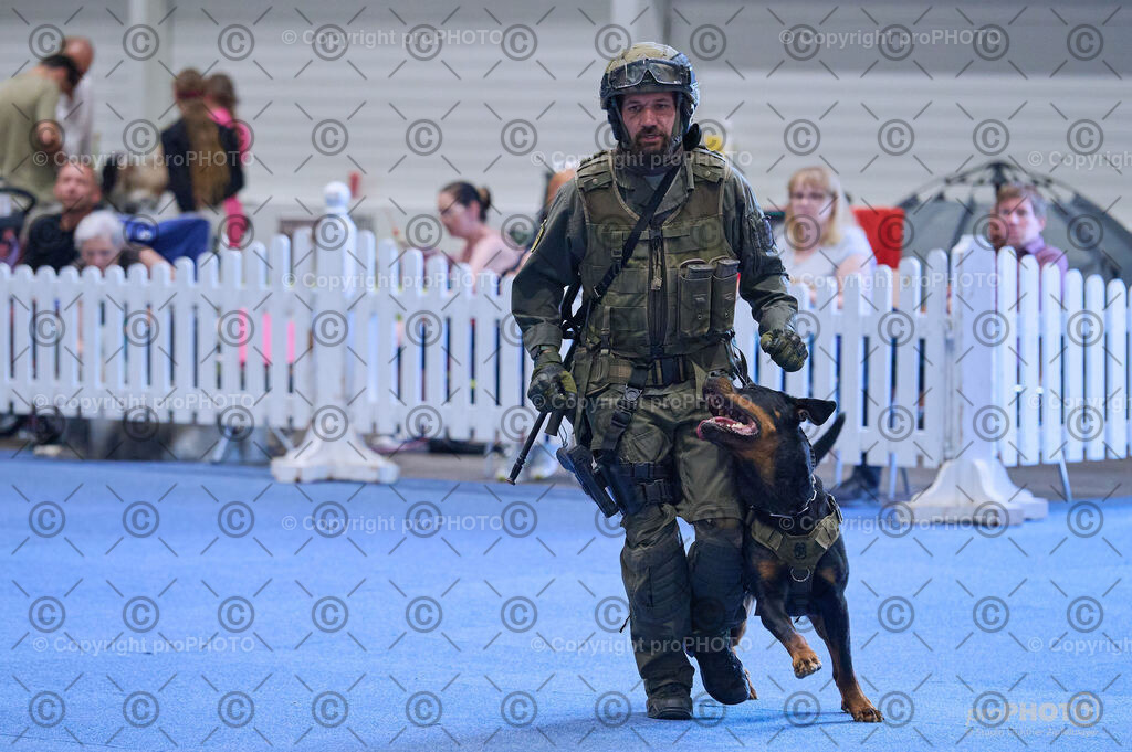 202406_ÖKV-IHA-Tulln24_DSC_3559 | proPHOTO - Realisiert mit Pictrs.com