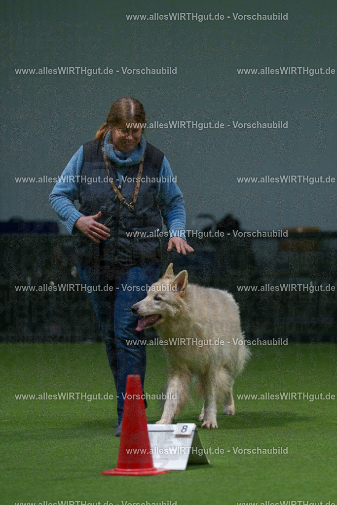 7R500156 | Professionelle Tierfotografie in Mönchengladbach von Daniel Wirth (allesWIRTHgut). Liebevolle & natürliche Bilder von Hunden & Katzen für unvergessliche Erinnerungen.