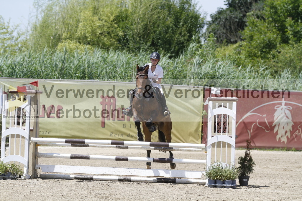 _MG_5105 | equestrian-live-com