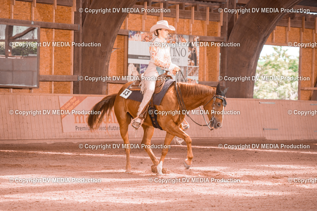 NE300633 | dv-media-shop - Realisiert mit Pictrs.com