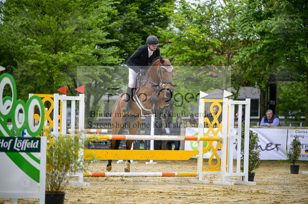 Reitturnier Lienen | Entdecke hochwertige Reitturnierfotos von Foto Oger. Professionell, emotional und authentisch – jetzt Lieblingsmomente im Shop bestellen. - Realisiert mit Pictrs.com