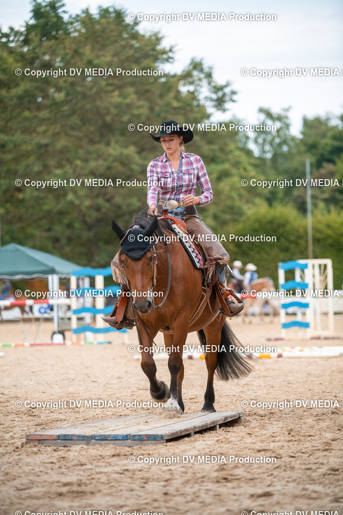 ZS2_8134 | dv-media-shop - Realisiert mit Pictrs.com