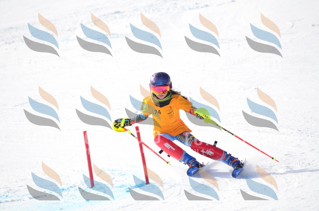 C7932 | holidayphoto