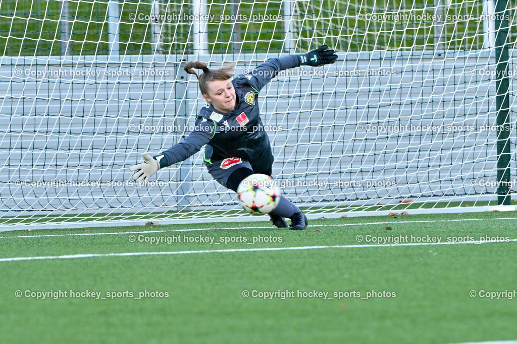 Liwodruck Carinthians Hornets vs. FK Austria Wien Frauen 19.11.2023 | #1 Anja Meier