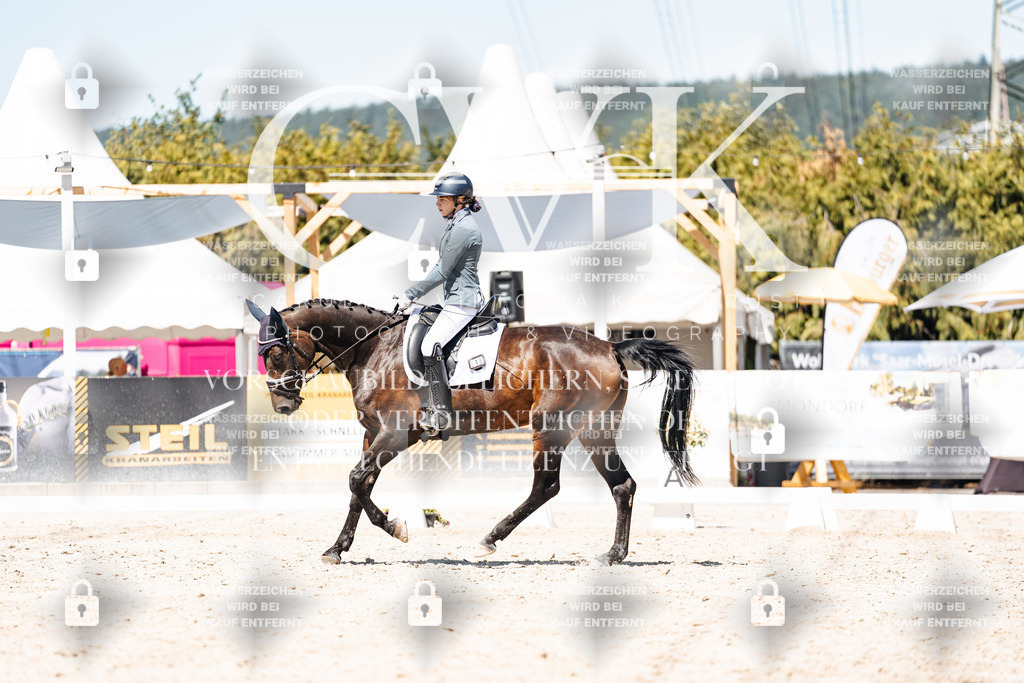 CK900158 | Turnierfotografie Pferdefotografie Trier Rheinland-Pfalz Pferdesport Reitsport Tierfotografie Sportfotografie Pferdevideo Pferdevideografie Equestrianvideography equestrianphotography  - Realisiert mit Pictrs.com