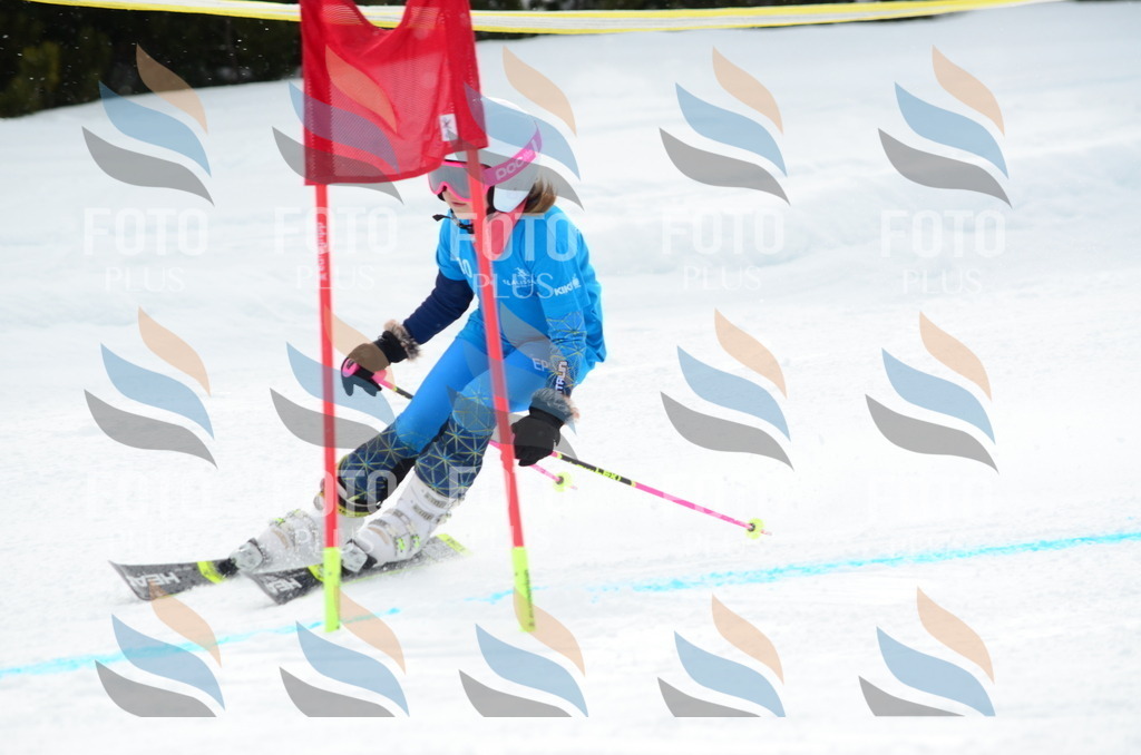 I3907 | holidayphoto