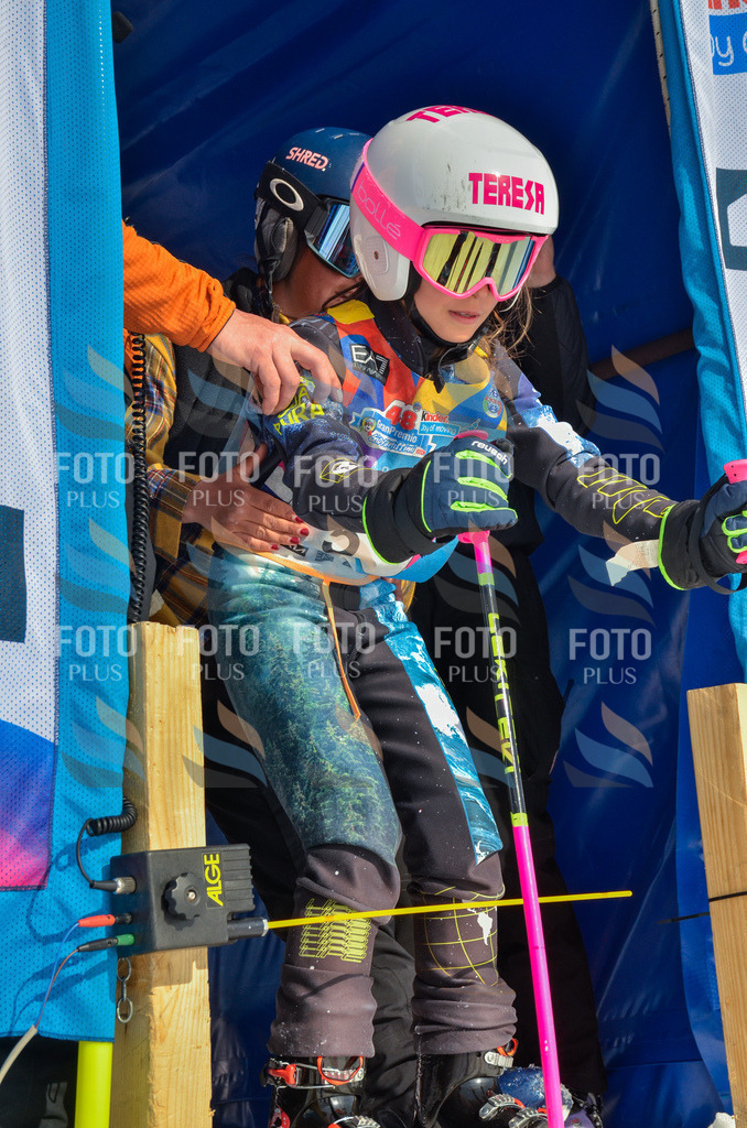 _ELE4428 | holidayphoto