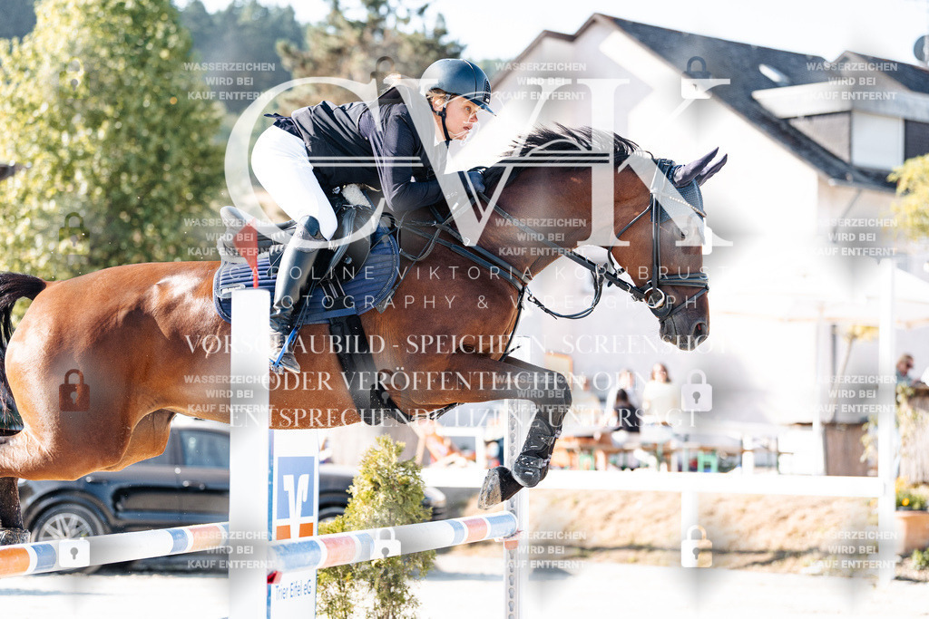 CK904224 | Turnierfotografie Pferdefotografie Trier Rheinland-Pfalz Pferdesport Reitsport Tierfotografie Sportfotografie Pferdevideo Pferdevideografie Equestrianvideography equestrianphotography  - Realisiert mit Pictrs.com