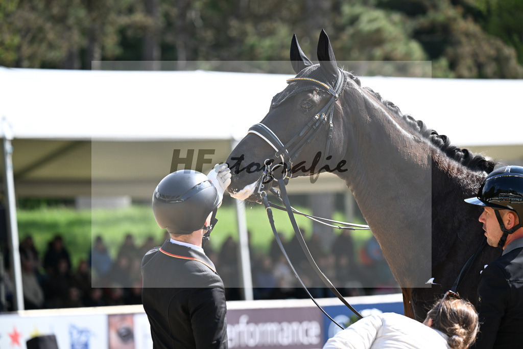 Equistro Dressurderby_26267947 | hf-fotografie - Realisiert mit Pictrs.com