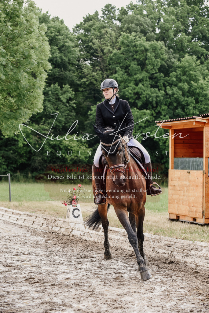 DSC_0749 | Pferde- und Turnierfotografie in Westsachsen. Pferdeportraits, Auftragszeichnungen und intuitive Kunst.