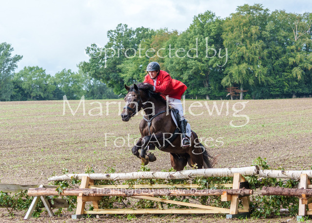 Jagd Perdoel 26 Sony-04063_MarinaHewig | Fotografie, FotoArt, PferdesportArt, Pferdesportfotografie, Landschaftsfotografie, Reisefotografie, Reise, Pferde - Realisiert mit Pictrs.com