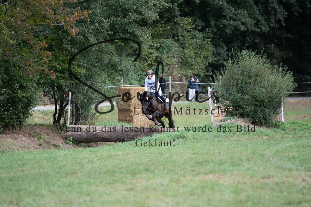 A7V00498 | Pferdefotograf