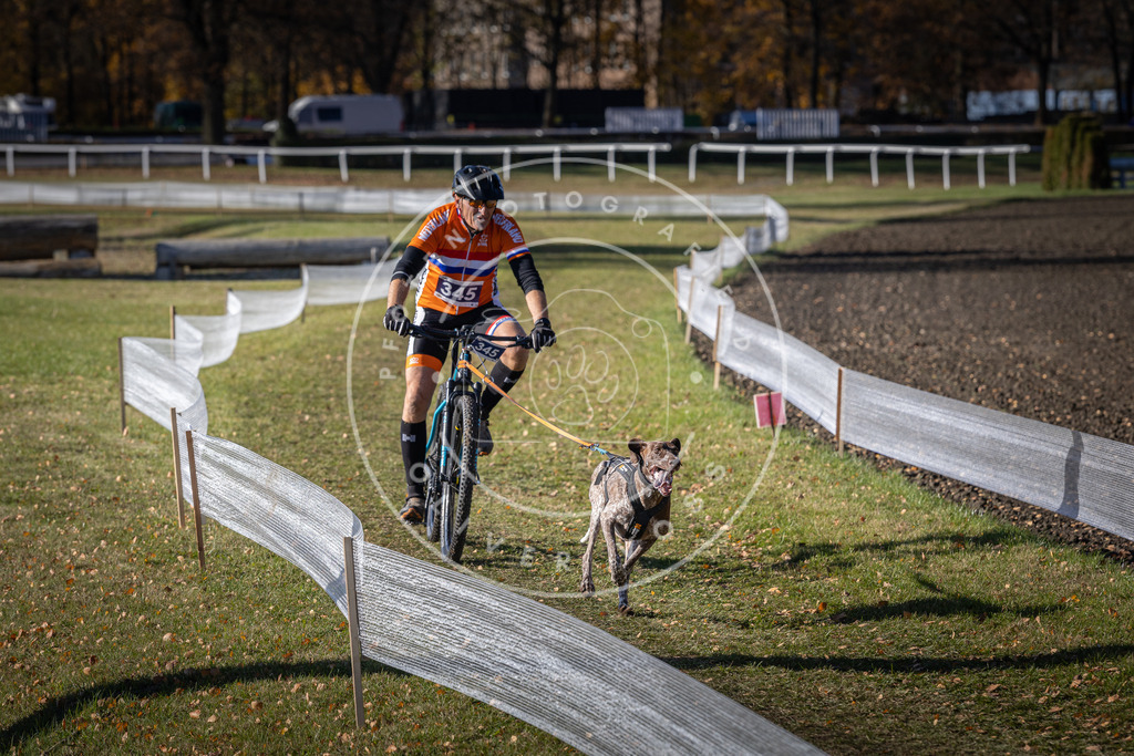 CaniXpix_DV3A7040 | Hundefotografie, Tierfotograf, Pfotenfotografie, Fotoshooting Hund, Hunde Portrait, Hundesport, Hundeportraits, Heideshooting, Hunde, Sportfotograf, Hundefotograf, Turnierhundsport, THS,  - Realisiert mit Pictrs.com
