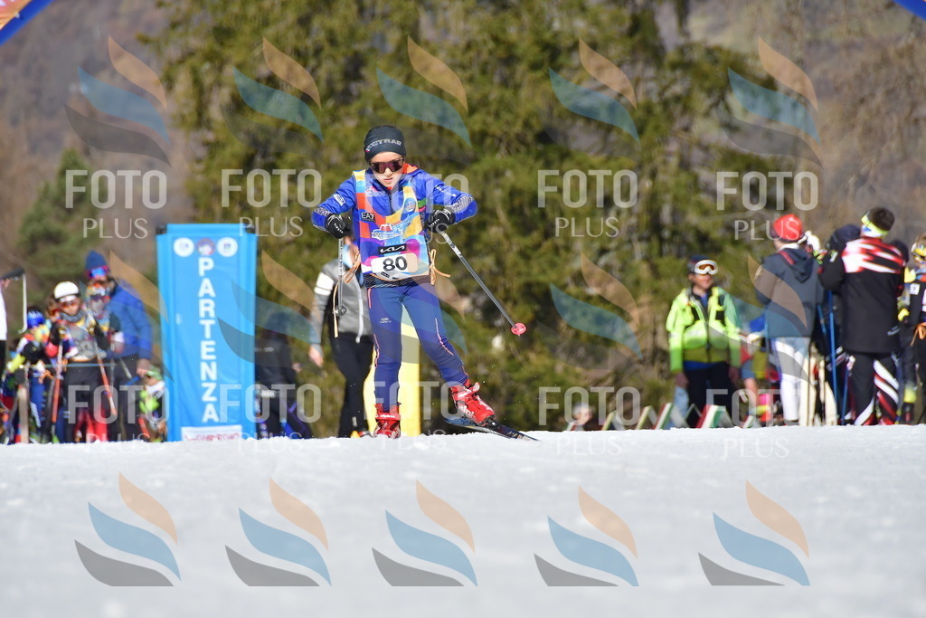 _DSC9384 | holidayphoto