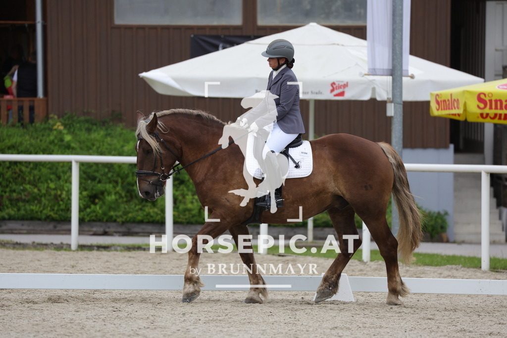 0P6A5645 | Willkommen bei Brunnmayr - Design & Fotografie – Ihrem Spezialisten für Reitturniere und Pferdeveranstaltungen in Oberösterreich, Salzburg und Bayern! Seit über 17 Jahren sind wir leidenschaftlich dabei.