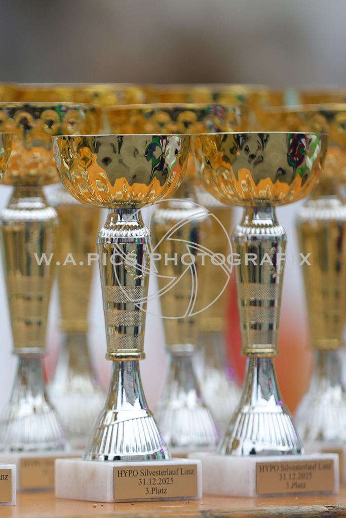 SILVESTERLAUF LINZ 25 | Linz, AUSTRIA, 31. Dezember 25, TRIRUN SILVESTERLAUF LINZ 25 , Image shows: 
Photo: WAPICS / BINDER Manuel