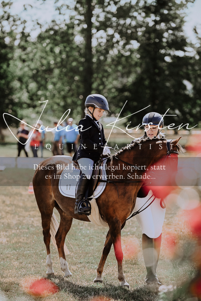DSC_7871 | Pferde- und Turnierfotografie in Westsachsen. Pferdeportraits, Auftragszeichnungen und intuitive Kunst.