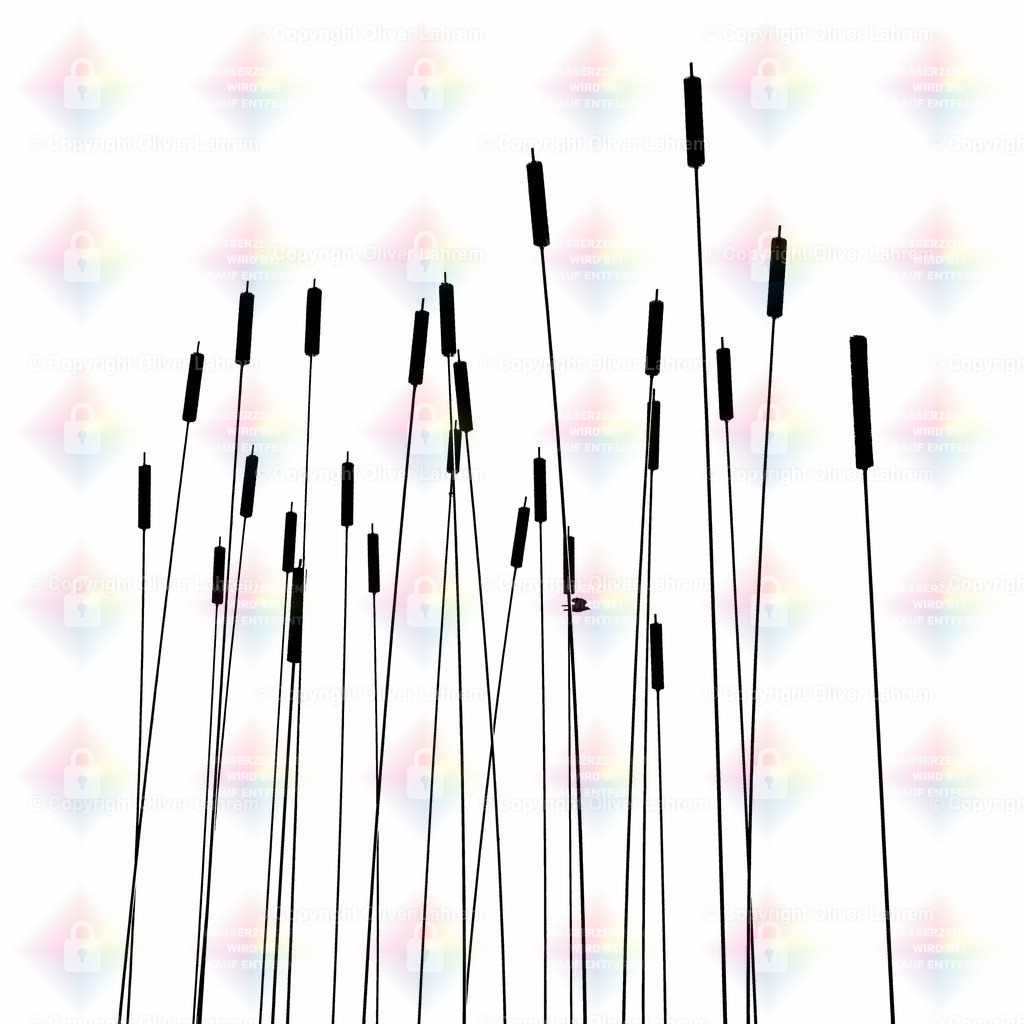 Künstliche Natur 2 | Künstliche Imitation von Rohrkolben die in den Himmel ragen