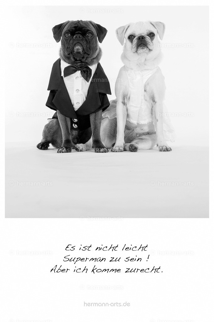 PK_Zitate_10x15_BW-104 | Photo Foto Kunst Art schwarzweiss Bilder Rheine Münster Berlin Blumen 