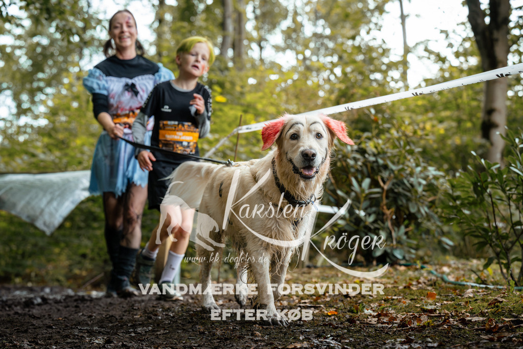 1424DZ6_1899Z6 | kk-dogfotos