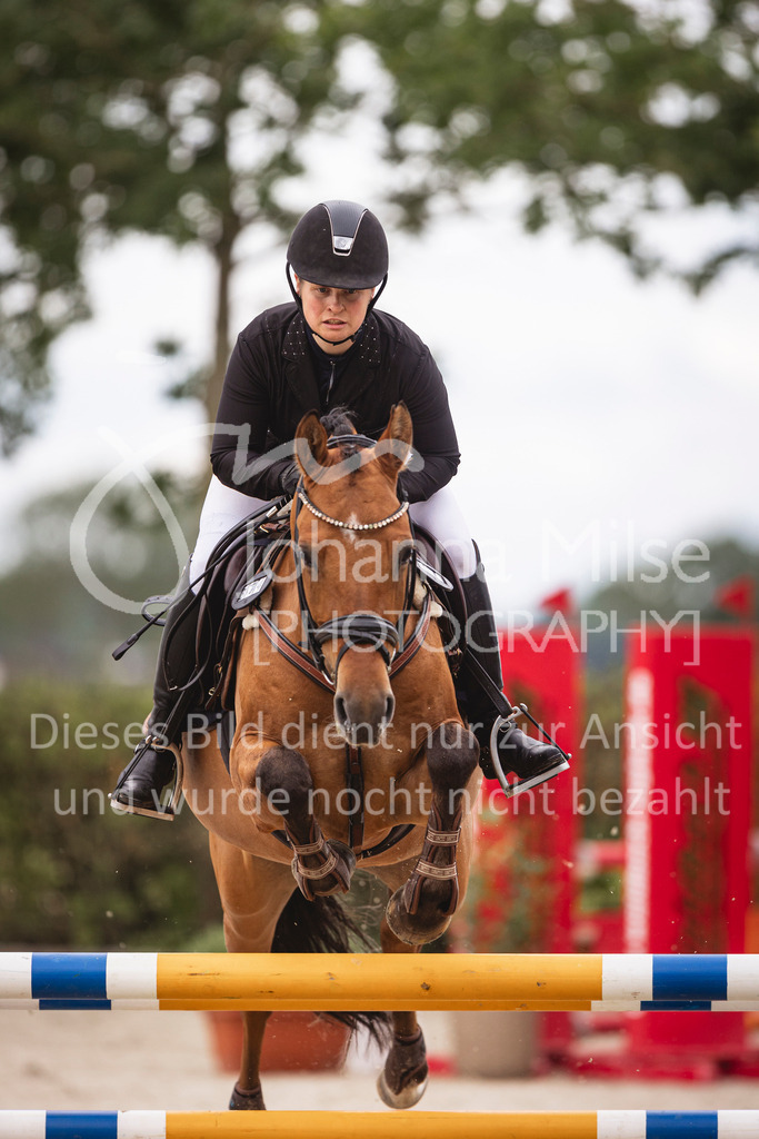 240616_Lemwerder_A2-Spr-204 | Deine schönsten Turniermomente als professionelle Fotos! Entdecke hochwertige Pferdesport-Fotografie im Online-Shop. Jetzt Fotos finden & bestellen!