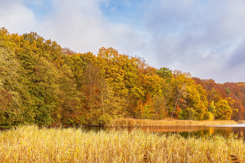 Blick auf den Haussee in der Feldberger Seenlandschaft | Blick auf den Haussee in der Feldberger Seenlandschaft.