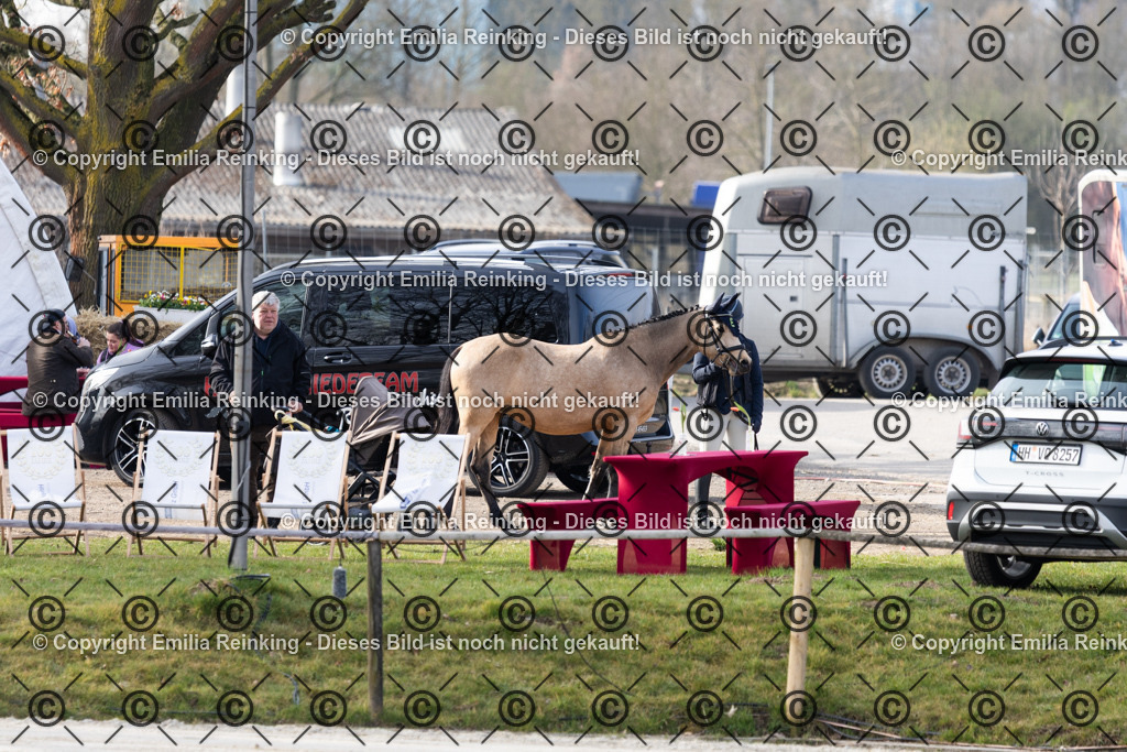 CL5A2505 | Emilia Reinking Fotografie - Realisiert mit Pictrs.com