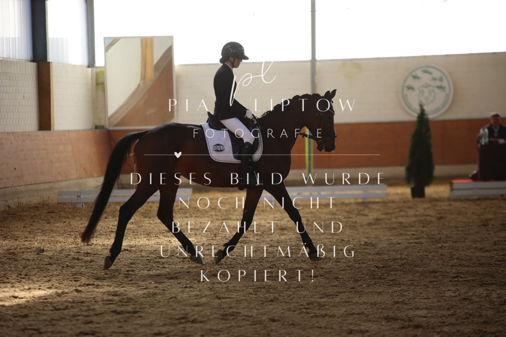 IMGT6470 | pl-fotografie