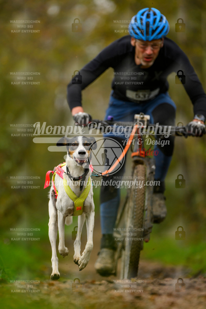 MompixPhotography_20TSB_E6_Bike-107 | PayLife