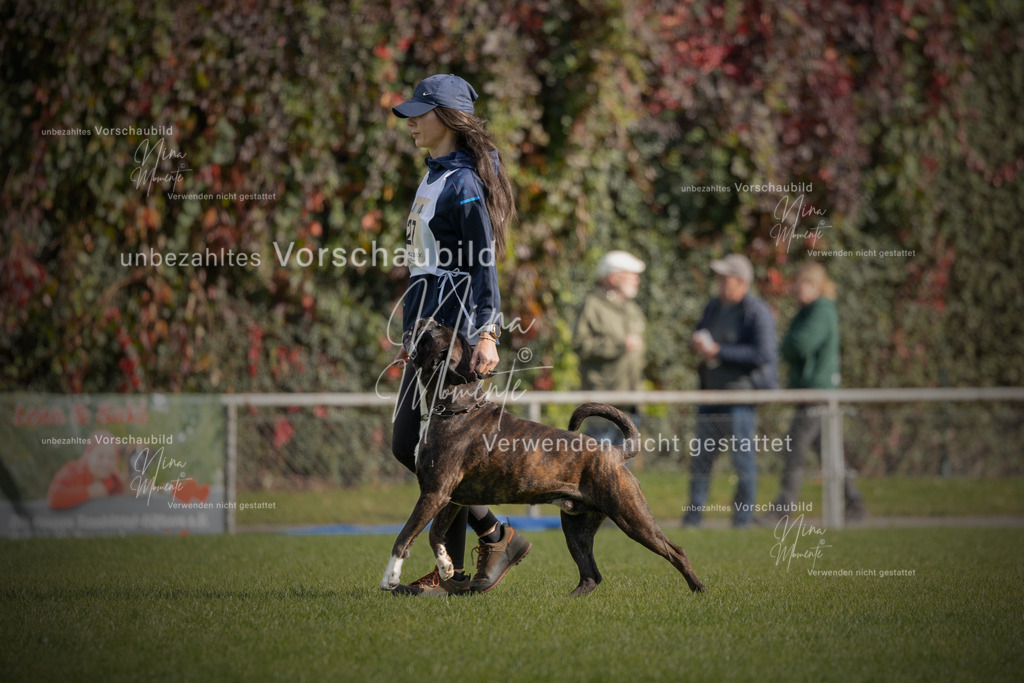 _16A5676-12 | Einzigartige Fotos von Hunden & Menschen –Actionfotos, Portraits, Vereinsaufnahmen & Paarshootings – authentisch, lebendig & mit Herz.