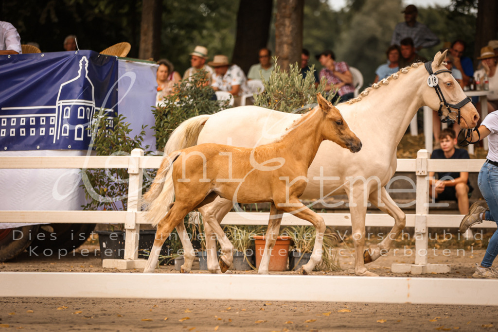 SaPA00247 | Leoni Ertmer Photography - Realisiert mit Pictrs.com