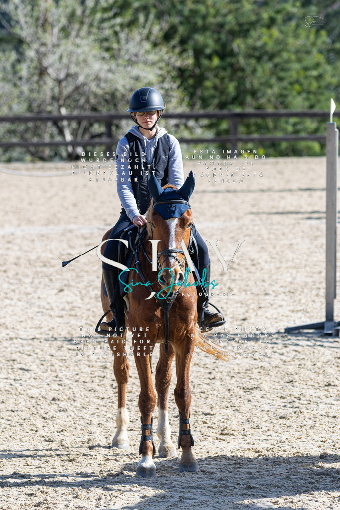 IMG_5516 | s-jay-photography - Realisiert mit Pictrs.com