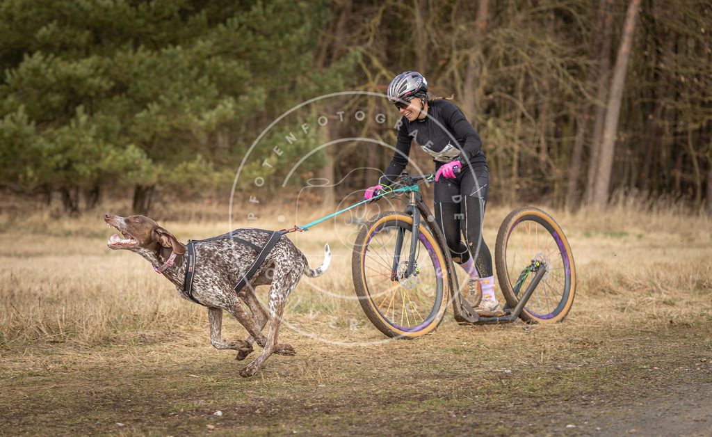 DV3A4635 | Hundefotografie, Tierfotograf, Pfotenfotografie, Fotoshooting Hund, Hunde Portrait, Hundesport, Hundeportraits, Heideshooting, Hunde, Sportfotograf, Hundefotograf, Turnierhundsport, THS,  - Realisiert mit Pictrs.com
