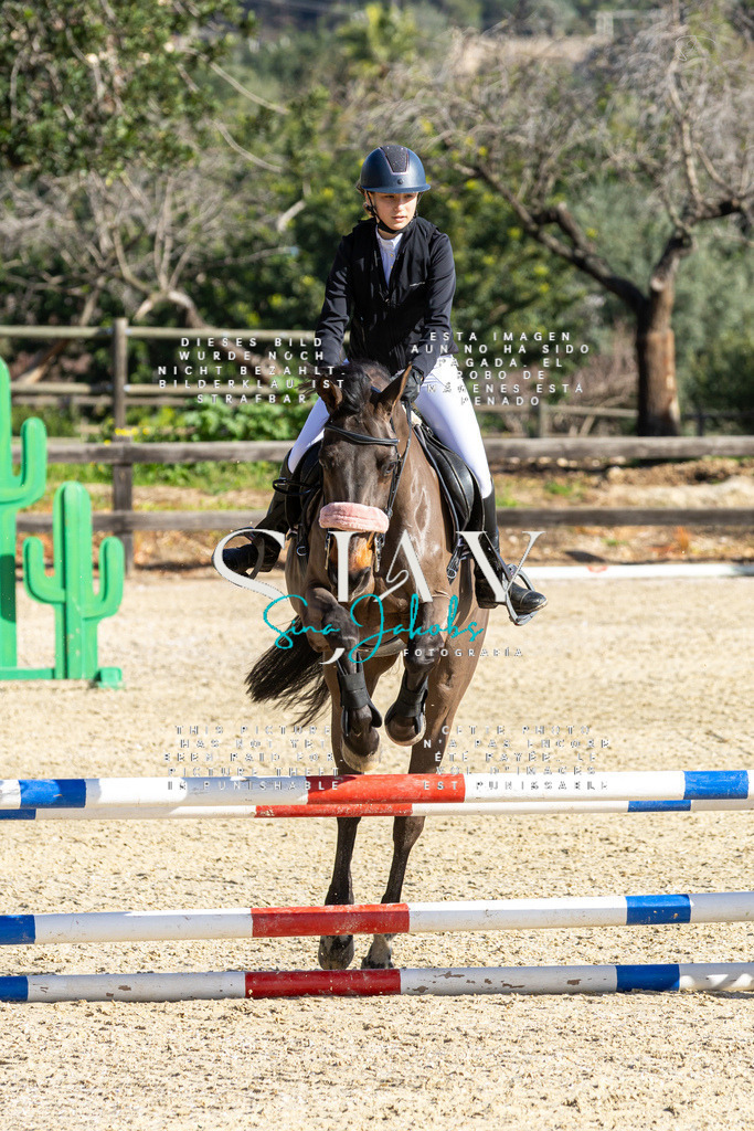 IMG_3684 | s-jay-photography - Realisiert mit Pictrs.com