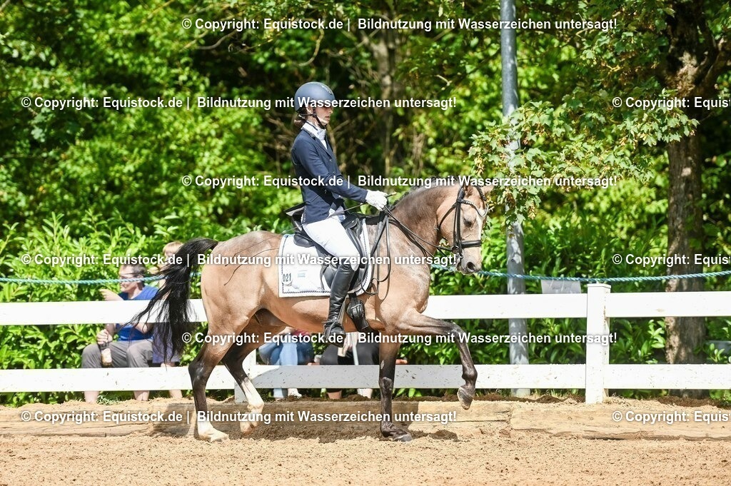 20230716_01_Dressurprüfung Kl.M_0203 | equistock