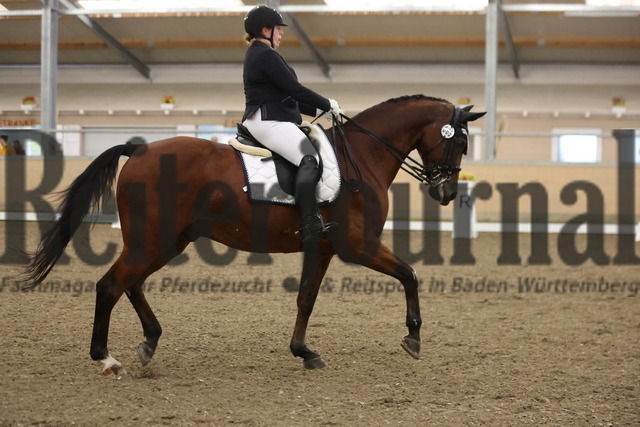 Waghäusel-Wiesental_2024_Prfg.Nr.08_1.WP_U25_Katarina Nadj_Alghero 2 (3) | Alle Fotos der Reiterjournal Fotografin Doris Matthaes im Reiterjournal Online-Fotoshop. - Realisiert mit Pictrs.com