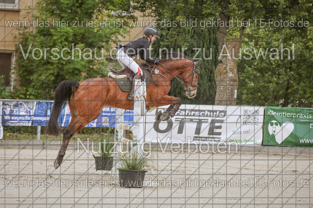 2025-09-22_09-34-31_MG_3625 | TE-Fotos