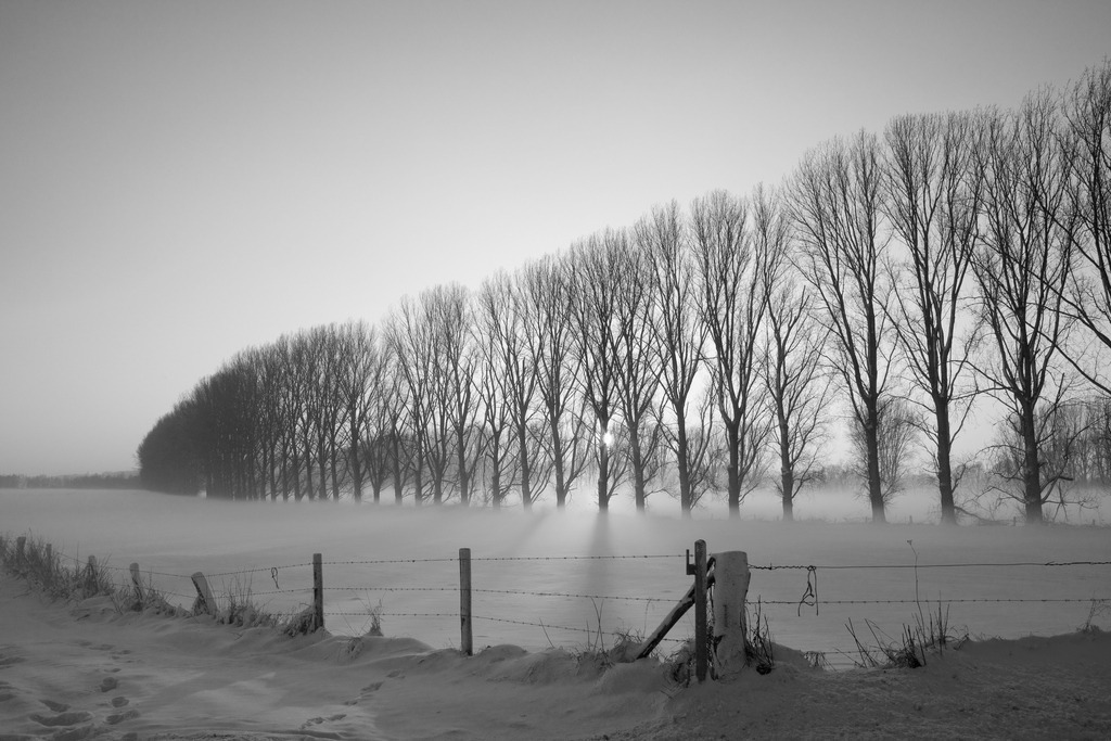 101220-140 Kopie-Print | Bilder vom Niederrhein kaufen: Einzigartige Natur- und Landschaftsfotografie für Ihre Wandgestaltung. Hochwertige Abzüge & Leinwände direkt vom Fotografen. Jetzt stöbern! - Realisiert mit Pictrs.com