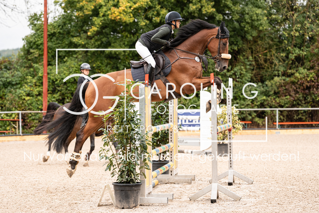 DSC03349 | Carolin Gieschke