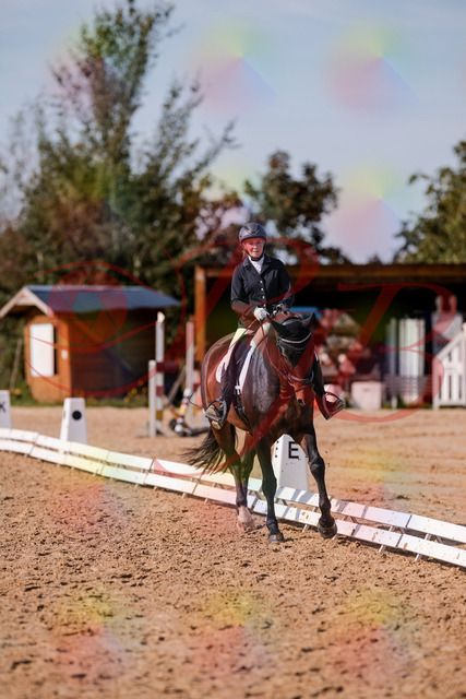 2026_10_03_Siefer-Hof_133811_Z81_94711612 | Professionelle Reitsport-, Turnier- und Eventfotografie von Robert Broda. Galerien mit ausgewählten und bearbeiteten Bildern direkt online ansehen und bestellen.