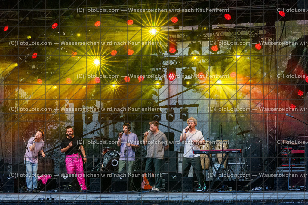 ALP8986_Hiesige-Dosige_Kulturpark | Festival HIESIGE 6 DOSIGE am 8. August 2025